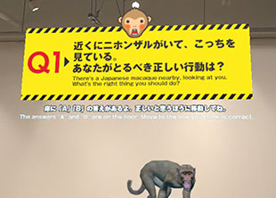 体験画像